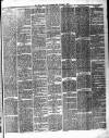 Chelsea News and General Advertiser Saturday 09 February 1878 Page 3