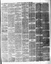 Chelsea News and General Advertiser Saturday 27 April 1878 Page 3