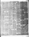 Chelsea News and General Advertiser Saturday 04 May 1878 Page 3