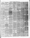 Chelsea News and General Advertiser Saturday 21 December 1878 Page 3