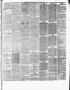 Chelsea News and General Advertiser Saturday 04 January 1879 Page 3