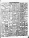 Chelsea News and General Advertiser Saturday 25 January 1879 Page 3