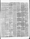 Chelsea News and General Advertiser Saturday 08 March 1879 Page 3