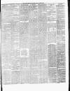 Chelsea News and General Advertiser Saturday 26 April 1879 Page 3