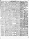 Chelsea News and General Advertiser Saturday 07 June 1879 Page 3