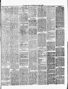 Chelsea News and General Advertiser Saturday 12 July 1879 Page 3
