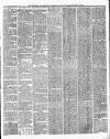 Chelsea News and General Advertiser Saturday 15 May 1880 Page 3
