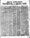 Chelsea News and General Advertiser Saturday 11 December 1880 Page 5