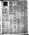 Chelsea News and General Advertiser Saturday 26 March 1881 Page 2