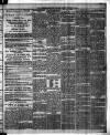 Chelsea News and General Advertiser Saturday 07 January 1882 Page 3