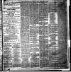 Chelsea News and General Advertiser Saturday 29 December 1883 Page 3