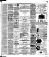 Chelsea News and General Advertiser Saturday 23 February 1884 Page 7