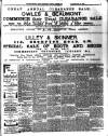 Chelsea News and General Advertiser Saturday 24 January 1885 Page 3