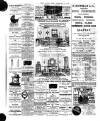 Chelsea News and General Advertiser Saturday 12 February 1887 Page 7