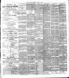 Chelsea News and General Advertiser Saturday 02 April 1887 Page 3