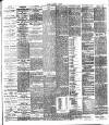 Chelsea News and General Advertiser Saturday 09 July 1887 Page 5