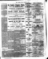 Chelsea News and General Advertiser Saturday 03 December 1887 Page 8