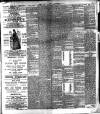 Chelsea News and General Advertiser Saturday 17 December 1887 Page 3
