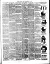 Chelsea News and General Advertiser Saturday 08 September 1888 Page 3
