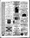 Chelsea News and General Advertiser Saturday 03 November 1888 Page 7