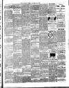 Chelsea News and General Advertiser Saturday 19 January 1889 Page 3