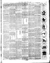Chelsea News and General Advertiser Saturday 08 June 1889 Page 3