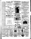 Chelsea News and General Advertiser Saturday 08 June 1889 Page 7