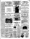 Chelsea News and General Advertiser Saturday 07 December 1889 Page 7
