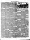 Chelsea News and General Advertiser Saturday 29 March 1890 Page 3
