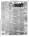 Chelsea News and General Advertiser Saturday 05 April 1890 Page 3