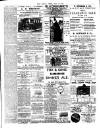 Chelsea News and General Advertiser Saturday 26 July 1890 Page 7