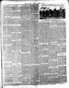 Chelsea News and General Advertiser Saturday 02 August 1890 Page 3