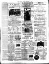 Chelsea News and General Advertiser Saturday 06 September 1890 Page 7