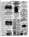 Chelsea News and General Advertiser Saturday 13 December 1890 Page 7