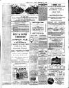 Chelsea News and General Advertiser Friday 20 February 1891 Page 7