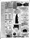 Chelsea News and General Advertiser Friday 09 October 1891 Page 7