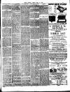 Chelsea News and General Advertiser Friday 28 July 1893 Page 3