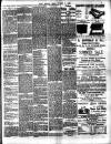 Chelsea News and General Advertiser Friday 11 August 1893 Page 3