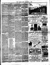 Chelsea News and General Advertiser Friday 01 September 1893 Page 3