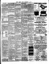 Chelsea News and General Advertiser Friday 22 September 1893 Page 3