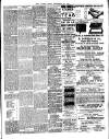 Chelsea News and General Advertiser Friday 29 September 1893 Page 3