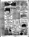 Chelsea News and General Advertiser Friday 06 October 1893 Page 7