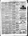 Chelsea News and General Advertiser Friday 03 November 1893 Page 3