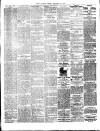 Chelsea News and General Advertiser Friday 12 January 1894 Page 3