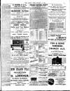 Chelsea News and General Advertiser Friday 12 January 1894 Page 7
