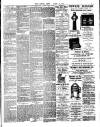 Chelsea News and General Advertiser Friday 19 January 1894 Page 3