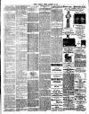 Chelsea News and General Advertiser Friday 30 March 1894 Page 3