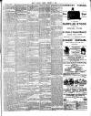 Chelsea News and General Advertiser Friday 03 August 1894 Page 3