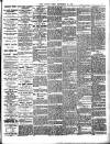 Chelsea News and General Advertiser Friday 28 September 1894 Page 5
