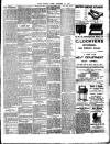 Chelsea News and General Advertiser Friday 19 October 1894 Page 3